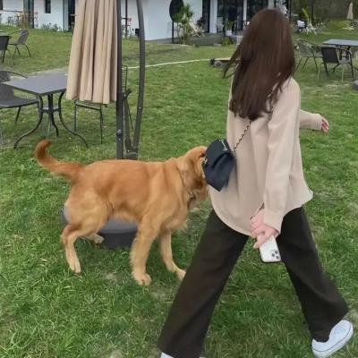 比邻星